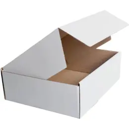 Colour Shipper Box White Large